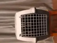 Переноска для собаки