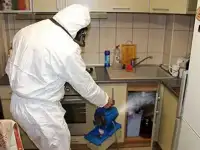 Уничтожение насекомых, мышей, плесени