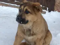Нина