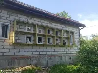 Зоогостиница 10 кошек