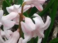 продам, фотография 4