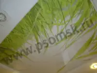 Натяжные потолки в Омске матовые с установкой, фотография 4