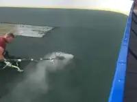 Бесшовные резиновые покрытия