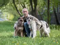 Чудесная собака Мила ищет семью., фотография 6