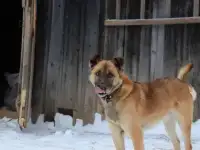 Фото и видеомонтаж + съемка