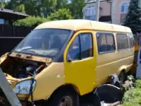 Газель