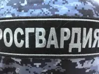 служба по контракту