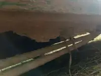 Водитель