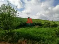 Продается земельный участок 10 сот., фотография 4