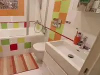 Обычный и не только, ремонт квартир и офисов.