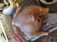 Продам бройлеров