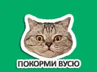 Стикеры персональные по фото для WhatsApp / ватсап / подарок