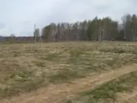 Земля ИЖС в д. Шимаковка Сосновского района