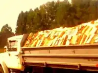 Дрова колотые или в чурках Доставка без выходных