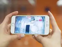 Открой гостиницу для животных  вместе с BookingCat, фотография 4