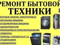 Ремонт пылесосов всех марок и сложности.Запчасти.Гарантия.