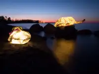Авторская технология.Предлагаю бизнеспартнерство ., фотография 3