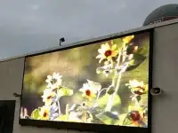 Продажа электронного экрана (модель RGB-LED-v10RP), фотография 2