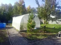 Теплицы, фотография 3