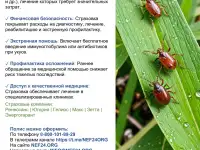 Все виды страховых услуг