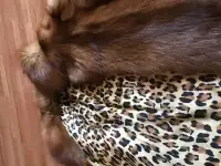 шубка из лисы, фотография 2