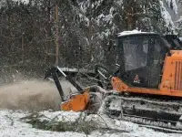 Расчистка 247, мульчирование от 1 Га, выкорчевка, фотография 5