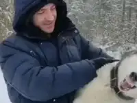 Ветеринарный врач нефролог