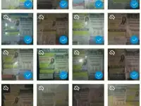 Расклейка объявлений по Сипайлово