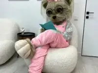 Собачка-Фиона Поздравление, фотография 4