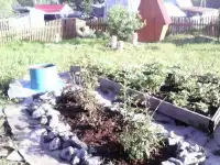Продам дачу, Малый Кускун 25,00 м2, фотография 6