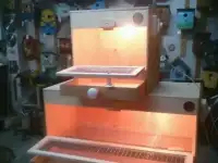 Брудер для цыплят