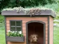 Будка для собаки, фотография 2