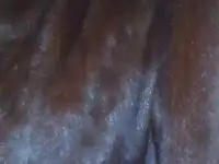 Шуба норковая, фотография 6