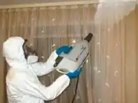 Уничтожение клопов - Дезинсекция