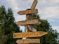 Липовый мед, фотография 2