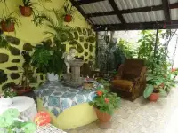 Отдых в Сочи. Частный сектор 