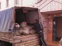 Вывоз строительного мусора, мебели, хлама на свалку Газелью