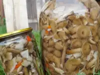 Грибы маринованные. Опята