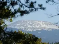 Турбаза Иремель отдых в Башкирии, экскурсии - гора Иремель, истоки 4 рек, фотография 2