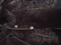 Шуба