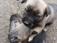 Отдадим бесплатно!!