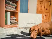 Энергосберегающий  кварцевый обогреватель, фотография 2