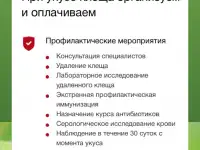 Добровольное медицинское страхование по программе Стоп.Клещ