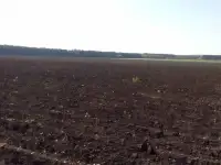 Продам участок земли сельхозназначения 9 га.., фотография 2