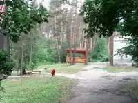строительство бань, домов, беседок