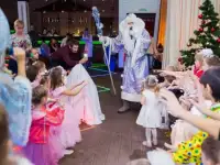 Вип Дед Мороз и Снегурочка на дом, фотография 4
