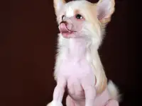 Красивый голый мальчик КХС