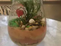 Флорариум., фотография 6