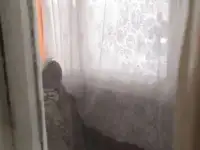 ПРОДАМ, МАЗИТА ГАФУРИ 7, фотография 5