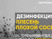 Обработка от клещей и других насекомых Томилино
